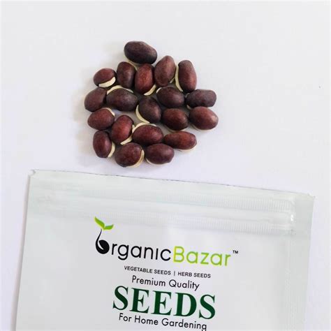 Sem Phali / Dolichos Beans Pole Type Seeds (सेम फली के बीज) -Organicbazar