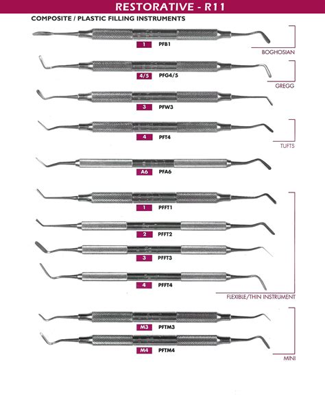 Dental Instruments Names