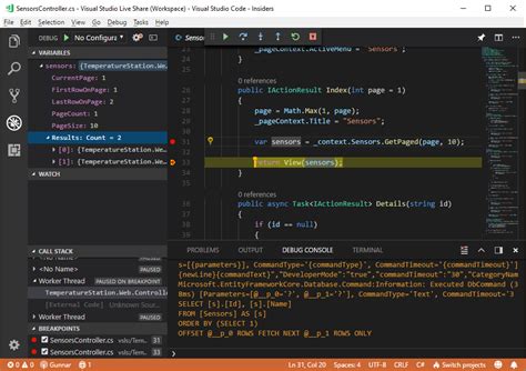 Visual Studio Code Live View 的图像结果