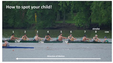 Image result for Rowing Basic Lessons