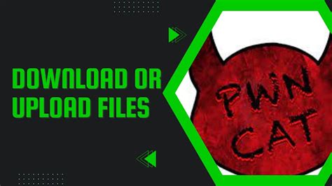 Dive Deep into pwncat - Download or Upload Files | CyberWiki ...