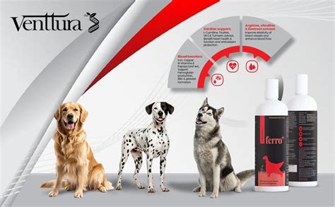 Buy Venttura Ferro+ Iron Supplements for Dogs | Supports Heart Health ...