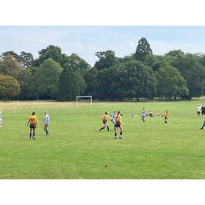 The Sportsfield Littlehampton 的图像结果