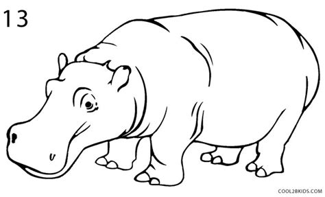 How to Draw a Hippo (Step by Step Pictures)