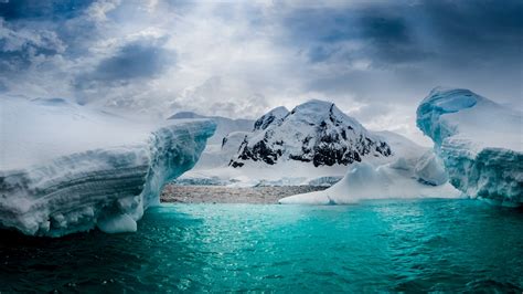 Half Moon Island in South Shetland Islands, Antarctica | Windows ...