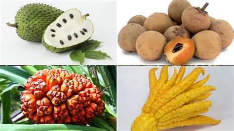 30 List of Exotic Fruits with Nutritional and Health Benefits ...