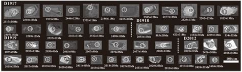 Geochronology and Geochemistry of Paleoproterozoic Mafic Rocks in ...