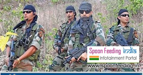 CRPF Constable Walk-In General Duty Tradesmen Chhattisgarh Sector CRPF ...