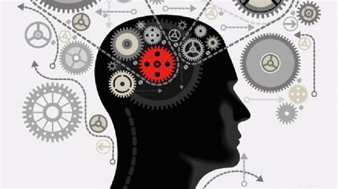 Improve My Programming Memory 的图像结果