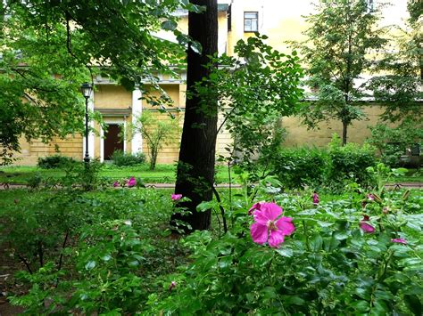 Дождь. Сад Фонтанного дома.: odri_maat — LiveJournal