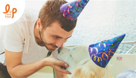 Eight fun ways to celebrate your dog's birthday l Lana Paws Blog