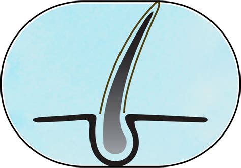 Sesa Permanent Hair Color - Burgundy – Sesa Care