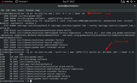 Image result for Memory Stack Linux Process