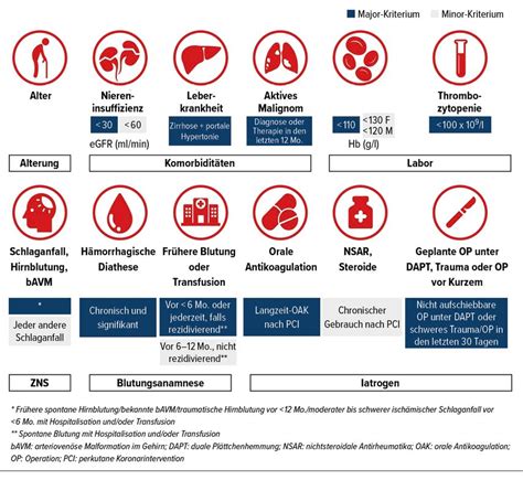 Stents bei Patienten mit hohem Blutungsrisiko - Kardiologie ...