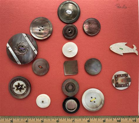 Image result for Deluxe Shell Buttons