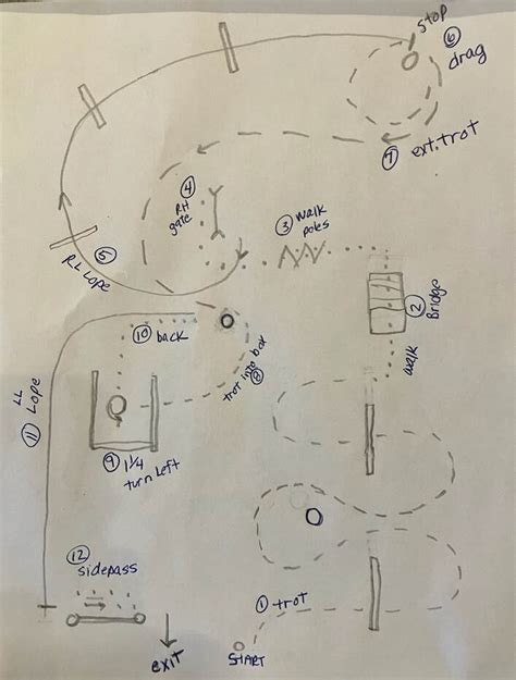 In Hand Trail Patterns 的图像结果