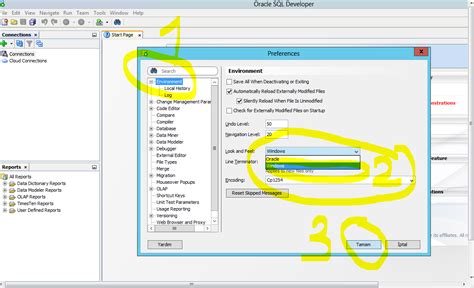 Image result for Oracle SQL Developer Windows 1.0