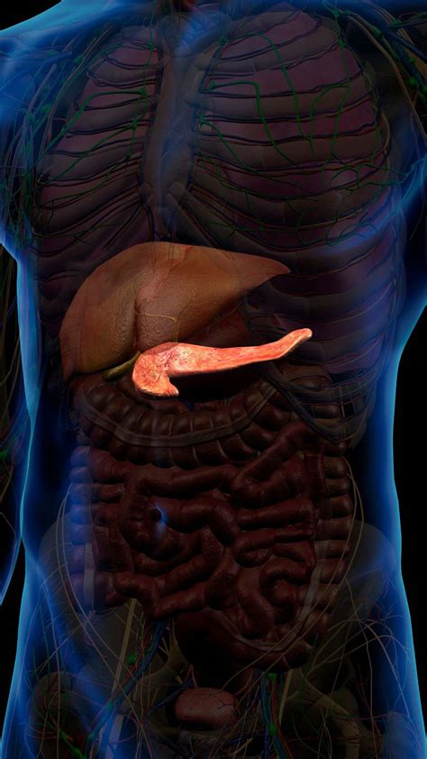 Pancreatic Cystic Lesions Treatment / Monitoring