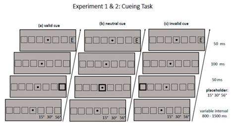 Exogeneous Spatial Cueing beyond the Near Periphery: Cueing Effects in ...