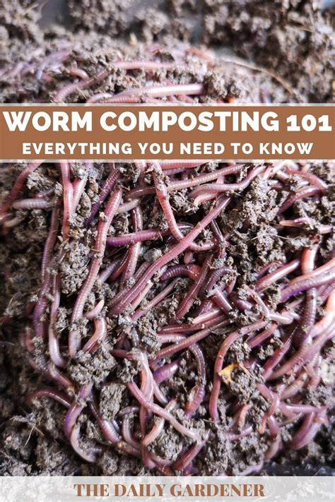 Worm Composting Tips at Michael Birdwood blog