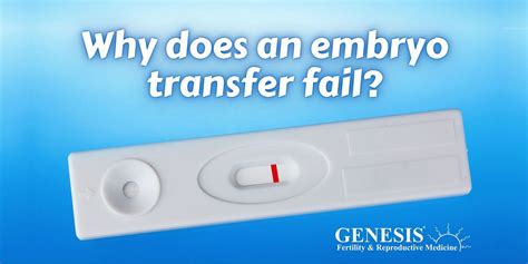 Why does an embryo transfer fail?, Online event, New York, New York, 10 ...