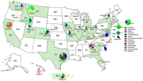 Animals Exposed to Leptospira Serogroups Not Included in Bacterins in ...