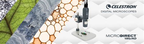 Celestron MicroDirect 1080p HD Handheld Digital Micro Viewing Digital ...