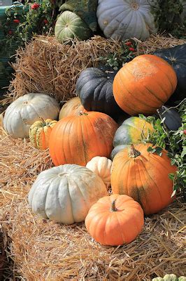 Image result for Image Convolution Plus Sign Kernel