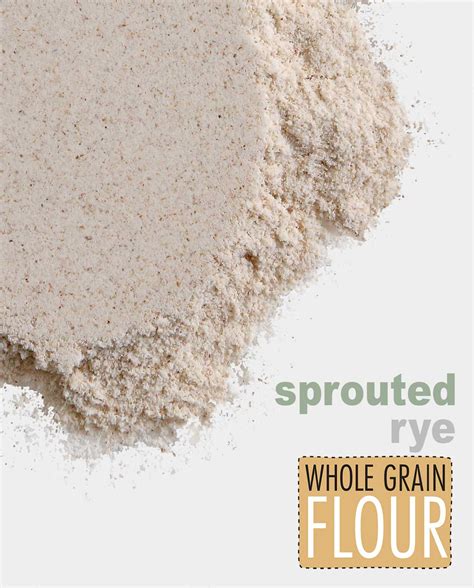 Organic Sprouted Rye Whole Grain Flour - Breadtopia