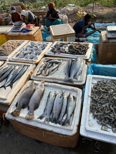 Pragathi Nagar Fish Market in Chenchuguda,Hyderabad - Best Fish Markets ...