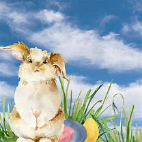 Image result for Knitted Easter Bunny Pattern