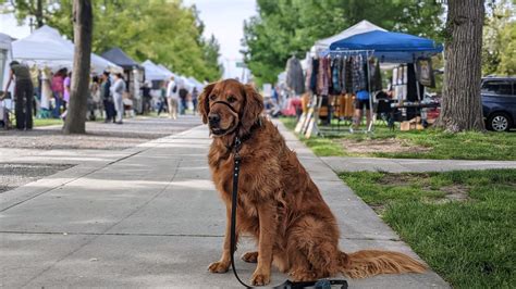 Dog-Friendly Farmer's Markets In Salt Lake City & Surrounding Areas
