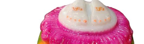 Buy OM SAI Gifts Marble Charan Paduka Big (White 6x6 inch) Online at ...