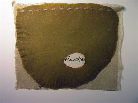 Image result for Handmade Paper Using Fiberglass