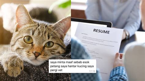 Image result for Paws Method Interview Questions