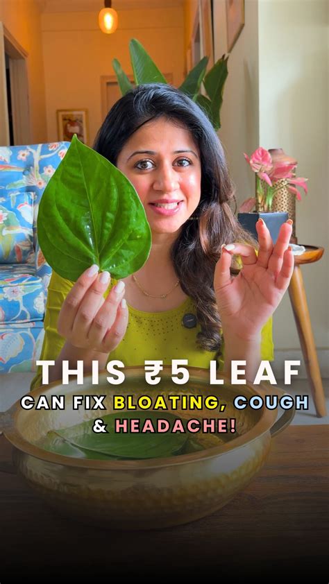 Leema Mahajan | 🌸With temperatures soaring high, it’s important to keep our bodies cool, and ...