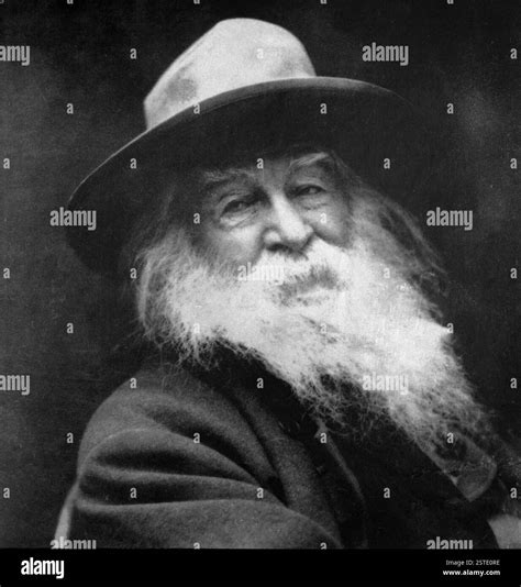 Portrait of American poet Walt Whitman, USA 1890s Stock Photo - Alamy