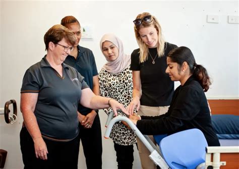 Image result for Insight Training