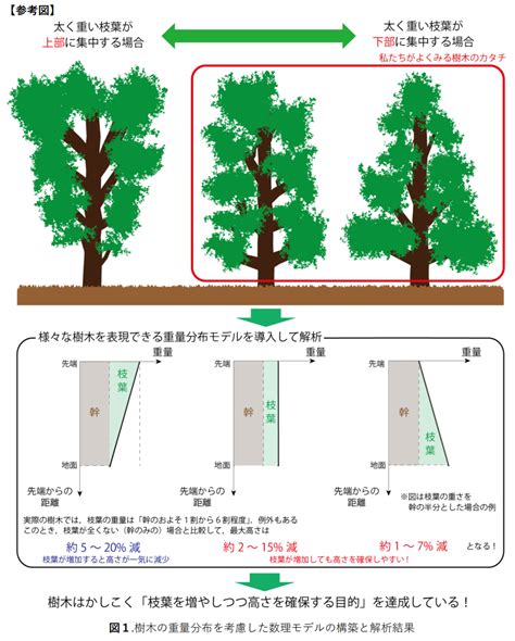 Image result for HTML Practical Class 7 Image Insert