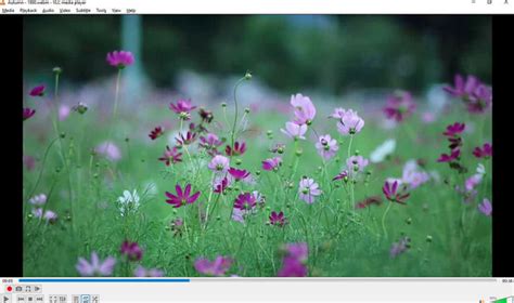 Image result for QuickTime Windows