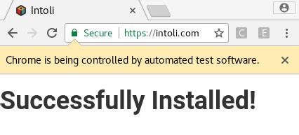 Image result for Selenium JavaScript Return Success