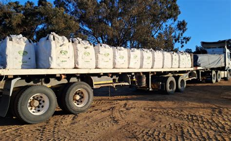 What is Organic Soft Rock Phosphate Fertilizer?