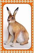 Image result for Life Like Rabbit Pattern