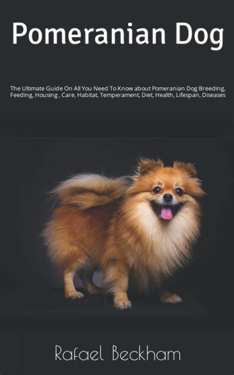 Buy Pomeranian Dog: The Ultimate Guide On All You Need To Know about ...