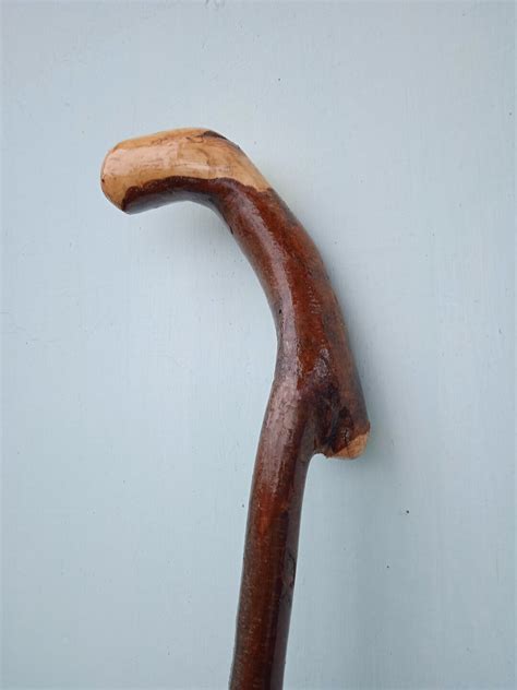35 Blackthorn, Great Walking Sticks, Hiking Cane, Branch of Thorns ...