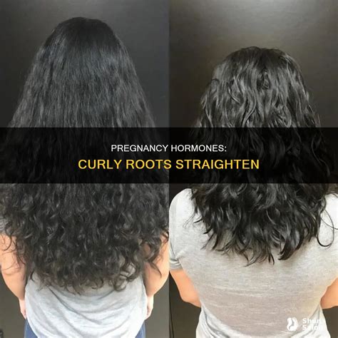 Pregnancy Hormones: Curly Roots Straighten | ShunSalon