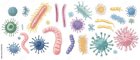 Pathogens 的图像结果