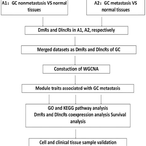 Image result for Validating Data