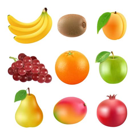 Ilustrações diferentes de frutas. Imagens de vetor realista isolar ...
