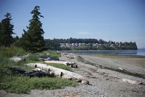 Birch Bay State Park — Finding the Extraordinary in the Ordinary